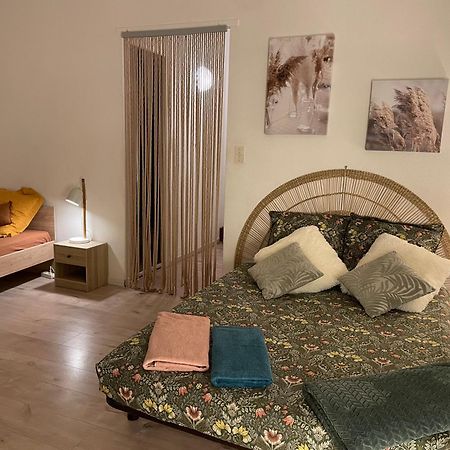 Апартаменты T2 Plein Centre Au 1Er Etage Avec Parking Prive Мийо Экстерьер фото
